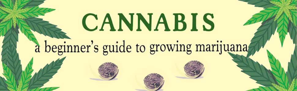 pot, marijuana, cannabis, grow pot, growing pot, growing cannabis, grow cannabis, grow marijuana