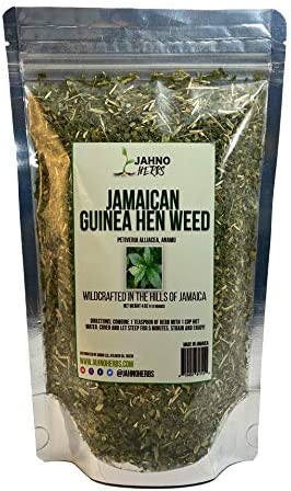 Jamaican Guinea Hen Weed ( Wildcrafted) Anamu Herb